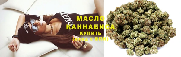 сатива Няндома