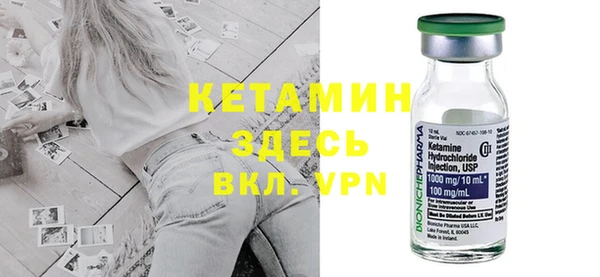 сатива Няндома