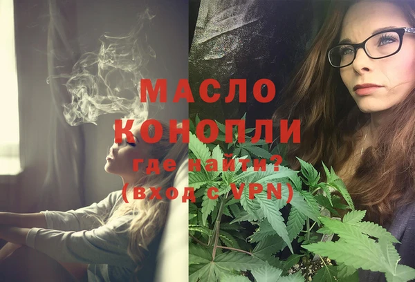 сатива Няндома