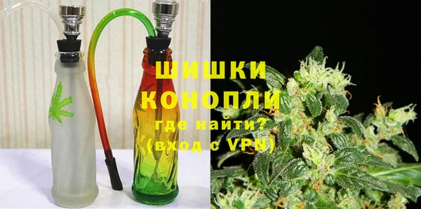 сатива Няндома
