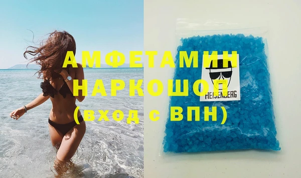 сатива Няндома