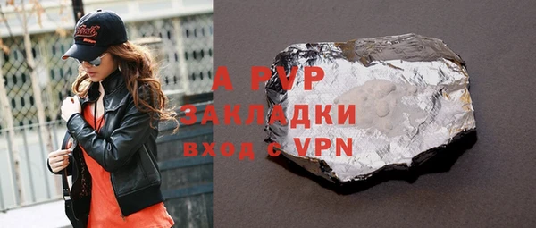 сатива Няндома