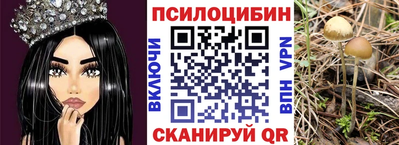 где продают   Заволжье  Псилоцибиновые грибы Magic Shrooms 