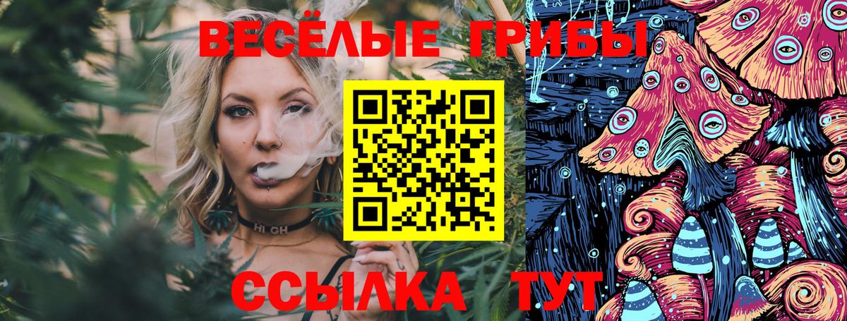 Псилоцибиновые грибы прущие грибы  Заволжье  цена наркотик  Псилоцибиновые грибы Magic Shrooms 