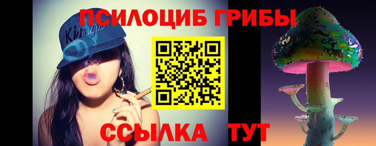 Заволжье  Псилоцибиновые грибы MAGIC MUSHROOMS  что такое   Вход с VPN 